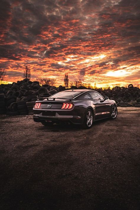 car, sunset Fort Mustang, Car Landscape, Mustang Wallpaper, Engineering Humor, Car Apparel, Road Trip Car, Luxury Car Rental, Top Car, Car Goals