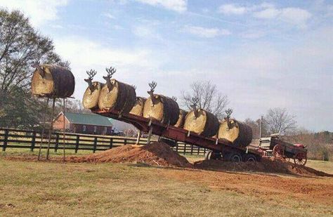 Lawn decorations...from Jeff Foxworthy Christmas Hay Bale Decor, Hay Bale Christmas, Christmas Hay Bale, Hay Bale Decor, Jeff Foxworthy, Hay Bales, Santa Sleigh, Holiday Shopping, Country Girls