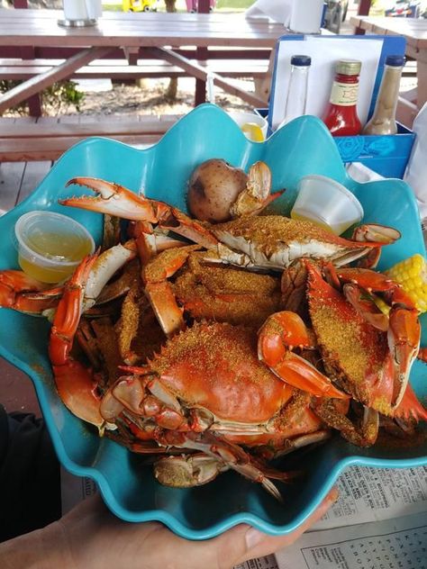 how to eat steamed blue crabs How To Eat Blue Crab, Tlc Style, Cracked Crab, Blue Crab Recipes, Lenten Meals, Carp Fishing Tips, Crab Feast, Punta Gorda Florida, Blue Crabs