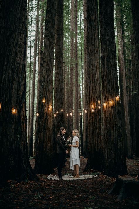 ELLEN Campsite Wedding Ideas, Forest Wedding Groom, Build A Floating Bed, Afternoon Picnic, Forest Theme Wedding, Floating Bed, Intimate Elopement, Woodland Wedding, Forest Wedding