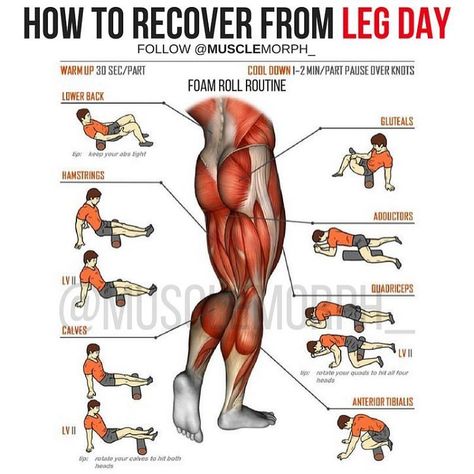 "When I train Legs I make them my B*tch for an hour Then for the next 2 Days they make me theirs" ➖➖➖ Want To 'Accelerate' Recovery Time? . Hit 'Save' & Try It Next Time. DONT BE LAZY, Try it Once & You'll be addicted . . . . LEG DAY + FOAM ROLL = Faster Recovery = Gains. - ✅ Foam Rolling Is Best Used After Training, Not Before: - The only time where foam rolling is warranted in the warm-up is when there's ‘notable’ mobility dysfunction present. That means that dysfunction has be... Leg Workouts For Men, Golf Workout, Leg Workouts Gym, Fitness Studio Training, Foam Roll, Fitness Hacks, Titleist Golf, Muscle Abdominal, Leg Day Workouts