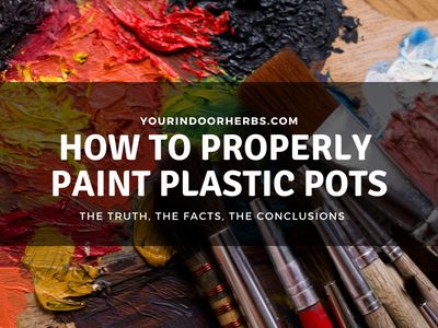 Paint Those Plastic Garden Pots The Right Way | Your Indoor Herbs and Garden Plastic Pots Makeover Diy, Painting Plastic Pots, Painting Plastic Flower Pots, Painting Plastic Bins, Painted Ceramic Planter, Old Pots, Indoor Herbs, Plastic Garden, Paint Pots