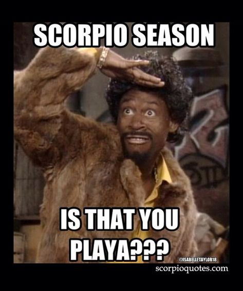 16 Scorpio Season Meme | Scorpio Quotes Happy Birthday Month, Memes 2022, All About Scorpio, Zodiac Quotes Scorpio, Its My Birthday Month, November Baby, Scorpio Birthday, Season Quotes, Scorpio Zodiac Facts