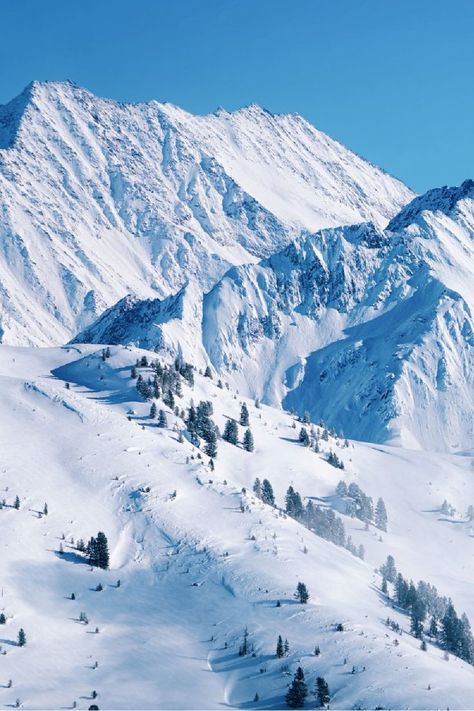 Ski slopes in the Austrian Alps. Snowy mountain dotted with pines and blue sky behind. The Alps, The Alps Winter, Alps Mountains, Austrian Alps, The Alps France, Austria Alps Winter, Ski Apartment, Austrian Alps Winter, Austria Mountains