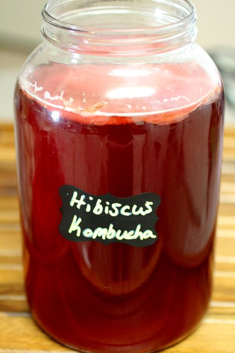 Beautiful and Flavorful Hibiscus Kombucha! An easy and delicious alternative to your normal Kombucha base.  ~Cultured Food Life Kombucha Flavors Recipes, Flavored Teas, Kombucha Flavors, Kombucha Scoby, How To Brew Kombucha, Homemade Kombucha, Kombucha Recipe, Fermented Tea, Homebrew Recipes