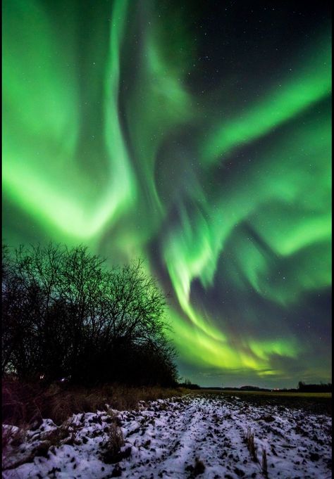 Northern Lights. Grande Prairie Alberta Canada. Awesome Grande Prairie Alberta, Spaces Photography, Aurora Northern Lights, Lights In The Sky, Modern Homestead, North Shields, Canada Vacation, Old Country Churches, Greece Hotels