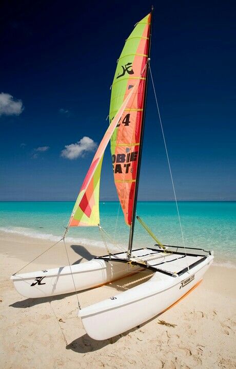 Hobie Cat Hobie Cat Sailing, Sailing Terms, Land Sailing, Hobie Cat, Yacht Week, Cool Boats, Skateboard Design, Adventure Sports, Yacht Charter