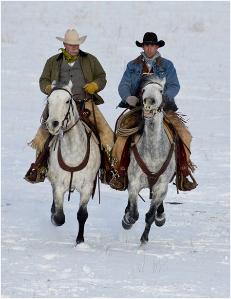 Cowboy Horse Riding, Cowboy From Behind, Cowboys Riding Horses, Cowboys On Horses, Cowboy Riding Horse, Cowboy On Rearing Horse, Man On Horse, Real Cowboys, Cowboy Pictures