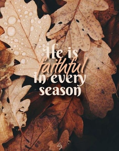 Fall Bible Verses, Faithful God, Christian Fall, Sukkot, God Is Real, Bible Motivation, Autumn Quotes, Bible Verses Quotes Inspirational, Bible Quotes Prayer