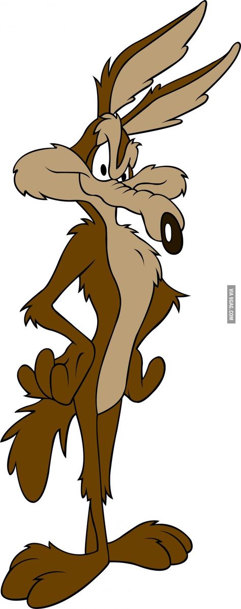 wild e coyote | 9GAG - Wile E. Coyote, the original Bad Luck Brian Monumental Vbs, Bad Luck Brian, American Comic, Wile E Coyote, Old School Cartoons, School Cartoon, Looney Tunes Characters, Looney Tunes Cartoons, Morning Cartoon