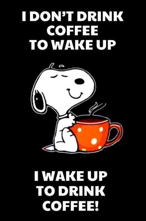 10 Coffee Quotes Featuring Snoopy To Start Your Morning Snoopy Gif, Coffee Quotes Morning, Charlie Brown Quotes, Coffee Cartoon, Coffee Quotes Funny, Funny Coffee Quotes, Snoopy Funny, Snoopy Images, Snoopy Wallpaper