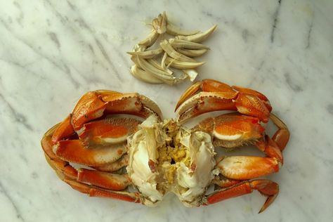 How to Cook and Clean Fresh Crabs Cooking Dungeness Crab, Dungeness Crab Recipes, Bread Spread, Alaskan King Crab, Crab Dishes, Stone Crab, King Crab Legs, Crab Boil, Dungeness Crab