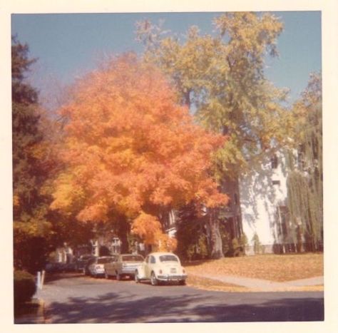 Deltarune Aesthetic, October Rust, Illya Darling, Fall Mood Board, Orange Leaves, Season Of The Witch, Fall Feels, Best Seasons, We Fall In Love