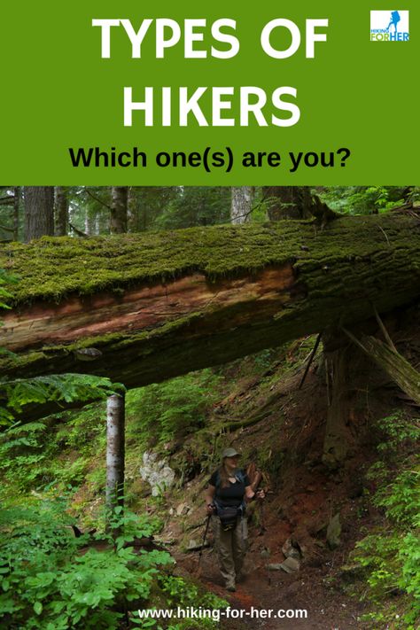 Hiking 101, Types Of Hiking, Canoe Boat, Solo Camping, Hiking Adventures, Hiking Training, Hiking Photography, Hiking Essentials, Trail Hiking