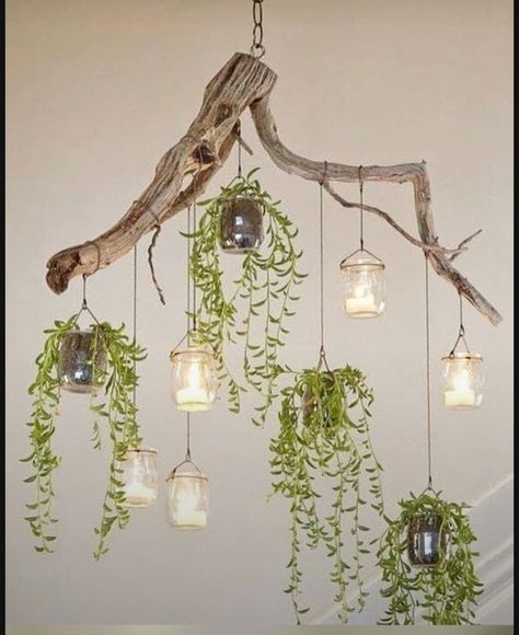 Trailing Succulents, Driftwood Chandelier, Tree Branch Decor, Diy Lampe, Deco Nature, Diy Chandelier, Branch Decor, Deco Floral, Driftwood Art