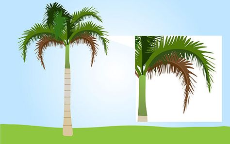 Palm Tree Landscaping Ideas, Palm Tree Garden Ideas, Palm Tree Landscaping, Tree Garden Ideas, Tree Landscaping Ideas, Palm Tree Garden, Palm Tree Care, Palm Trees Garden, Tree Landscaping