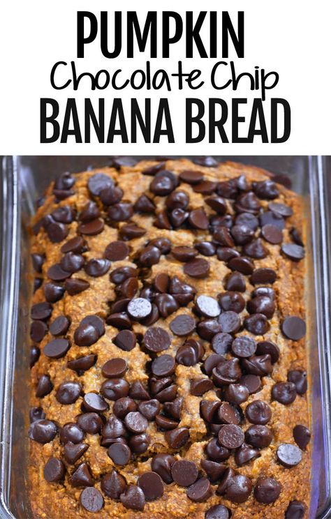 Banana Bread Recipe Vegan, Pumpkin Banana Bread Recipe, Recipe Healthy Breakfast, Brownie Ideas, Dessert Pumpkin, Chocolate Chip Banana Bread Recipe, Pumpkin Banana Bread, Chocolate Chip Bread, Pumpkin Chocolate Chip Bread