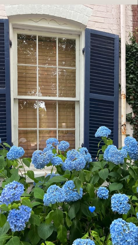 Navy Blue Coastal Aesthetic, New England Core Aesthetic, Spring Blue Aesthetic, Old Coastal Homes, Coastal Blue Aesthetic, Blue And White House Aesthetic, Hamptons Aesthetic House, East Coast Granddaughter, Southern Coastal Aesthetic