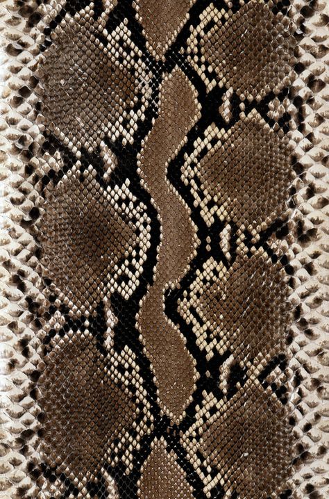 (1690×2560) Animal Print Wallpaper, Shotting Photo, Snake Skin Pattern, Skin Pattern, Snake Patterns, Print Wallpaper, Animal Skin, Patterns In Nature, Color Textures