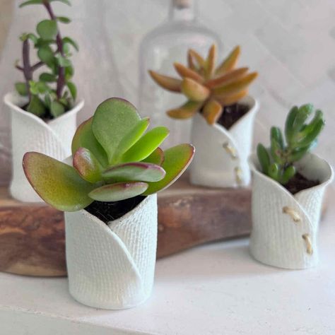 These sweet mini succulent pots are full of character, easy to customize and fun to make. The perfect propagation planters for succulent babies. Your plants will thank you too! Crayola Air Dry Clay, Clay Plant, Clay Plant Pots, Mushroom Plant, Mini Clay, Anthropologie Inspired, Air Dry Clay Projects, Spring Centerpiece, Clay Crafts Air Dry