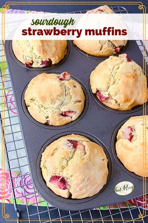 Strawberry Discard Recipes, Sourdough Discard Strawberry Scones, Sourdough Discard Strawberry Muffins, Strawberry Sourdough Discard, Strawberry Sourdough Muffins, Sourdough Strawberry Scones, Easy Sourdough Muffins, Sourdough Recipes Quick, Strawberry Sourdough Bagels