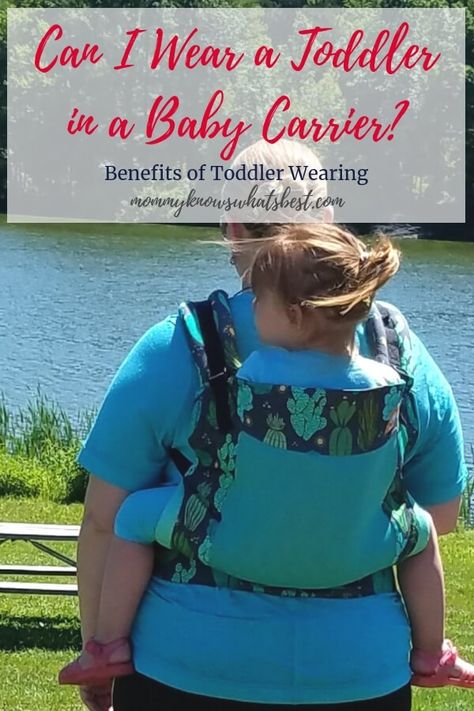 Can I Wear a Toddler in a Baby Carrier? Yes! There are so many benefits to wearing a toddler in a baby carrier. Plus: Best Carriers for Toddlers Parenting Hacks Toddlers, Baby Wearing Wrap, Toddler Carrier, Parenting Win, Toddler Schedule, Family Tips, Best Baby Carrier, Mom Group, Parenting Girls