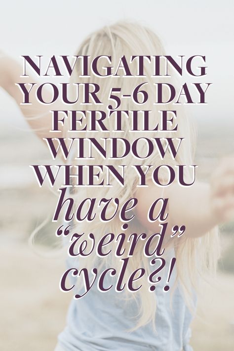 Navigating Your 5-6 Day Fertile Window When You Have A “Weird” Cycle?! · Nourished With Nina Fertility Window, Conception Tips Trying To Conceive, Cervix During Ovulation, Fertile Window, Natural Estrogen, Help To Get Pregnant Trying To Conceive, Fertile Woman, Healing Salve Recipe, Fertility Awareness Method