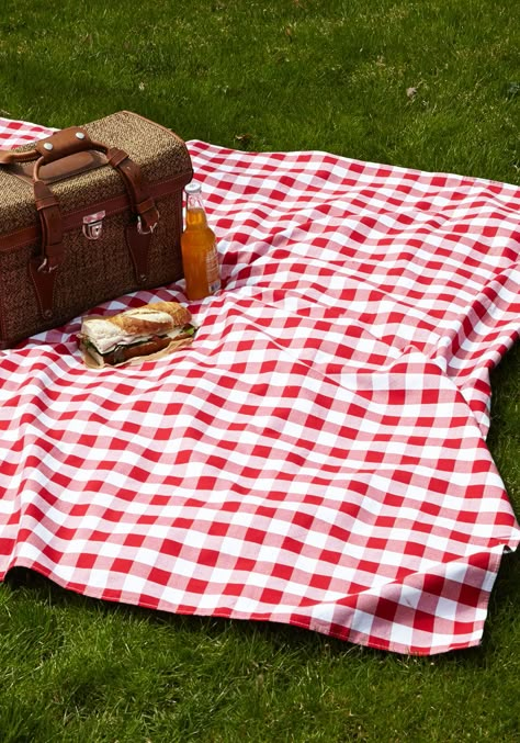 Gingham Fashion, Vintage Picnic, Picnic Date, Perfect Picnic, Picnic Mat, Picnic Time, Picnic Party, Red Gingham, A Picnic