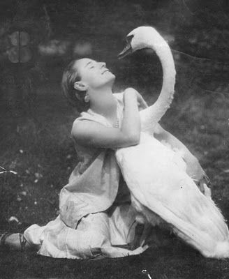 Anna Pavlova and her pet swan Jack .. Grey Gray Piskel Art, Ballet Russe, Anna Pavlova, Vintage Ballet, Russian Ballet, Maria Callas, Tilda Swinton, Photo Vintage, Funny Dog Videos