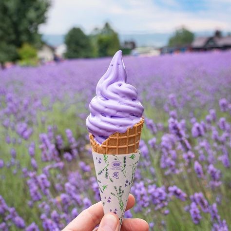 Lavender Ice Cream, Purple Food, Delicious Ice Cream, Furano, Purple Vibe, Lavender Aesthetic, Lavender Haze, Cream Aesthetic, Aesthetic Purple