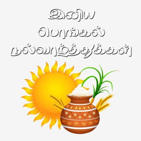 happy pongal,pongal festival,tamil festival,sugarcane,pot,tamil culture,tamil text,polgal vazhthukkal,happy clipart,pot clipart Pongal Images In Tamil, Happy Pongal In Tamil, Pongal In Tamil, Pongal Greeting Cards, Pongal Images, Tamil Greetings, Happy Pongal Wishes, Pongal Wishes, Tamil Culture