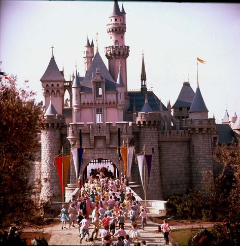 Magic Kingdom at 61: Rare 1955 color photos of Disneyland Disneyland Opening Day, Kingdom Keepers, Disney Castles, Disneyland Anaheim, Dumbo The Flying Elephant, Disneyland Tickets, Disney Rides, Sleeping Beauty Castle, Main Street Usa