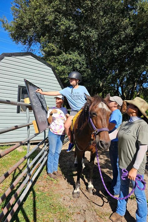 Hippotherapy Occupational Therapy, Therapeutic Riding Games And Activities, Hippotherapy Activities, Equine Therapy Activities, Therapeutic Horseback Riding, Horse Obstacles, Therapeutic Riding, Goals 2024, Equine Therapy