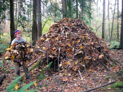 Finishing up a survival shelter - the debris tipi or debripi. Wilderness Survival Shelter, Camping Planning, Learn Skills, Bushcraft Skills, Emergency Shelter, Survival Shelter, Wilderness Survival, Survival Food, Camping Survival