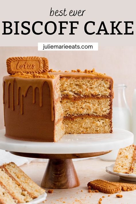 Homemade Cake Mixes, Easy Party Desserts, Biscoff Cake, Biscoff Cookie Butter, Best Chocolate Desserts, Easy Chocolate Desserts, Party Food Dessert, Layer Cake Recipes, Homemade Frosting