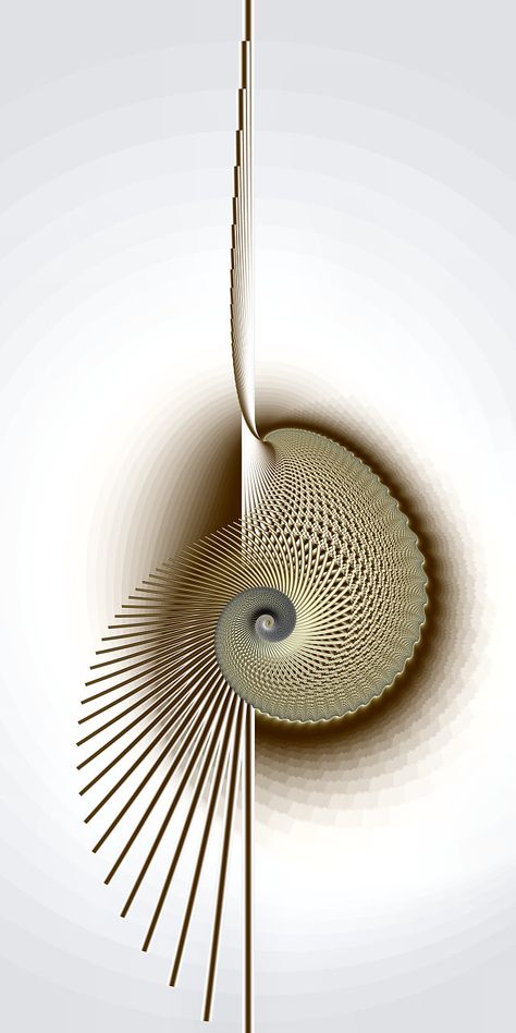 Asymmetrical Balance, Graphisches Design, Fibonacci Spiral, Sacred Geometry Art, Soyut Sanat Tabloları, Fractal Design, Math Art, Geometry Art, Patterns In Nature