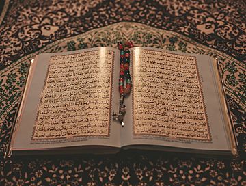 read quran,islamic background,quran background,quran,islam,quran photography,arabic quran,quran opened,al quran,quran majeed,holy quran Background Quran, Open Quran, Quran Photography, Quran Background, Reading Al Quran, Quran Majeed, Wallpaper Windows 10, Islamic Photo, Classroom Background