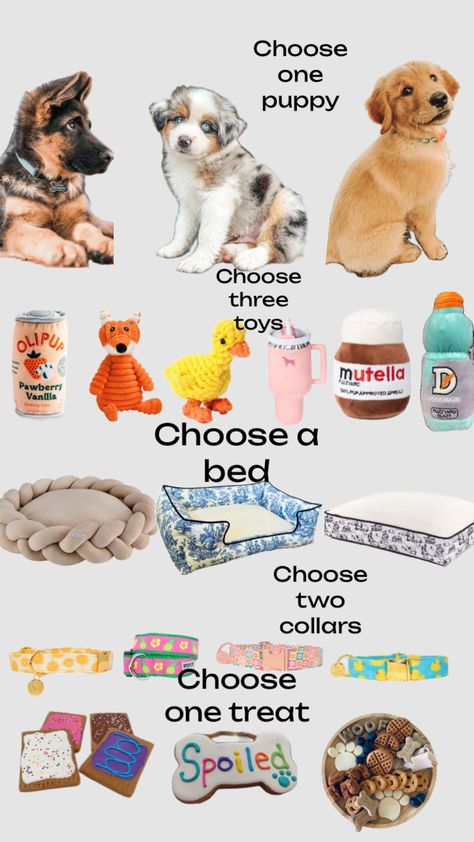 Choose you puppy #puppys Puppy Items, Making A Gift Basket, Preppy Dog, Cute Christmas Ideas, Service Dogs Gear, Preppy Inspiration, Best Friend Activities, Puppy Accessories, Dog Games