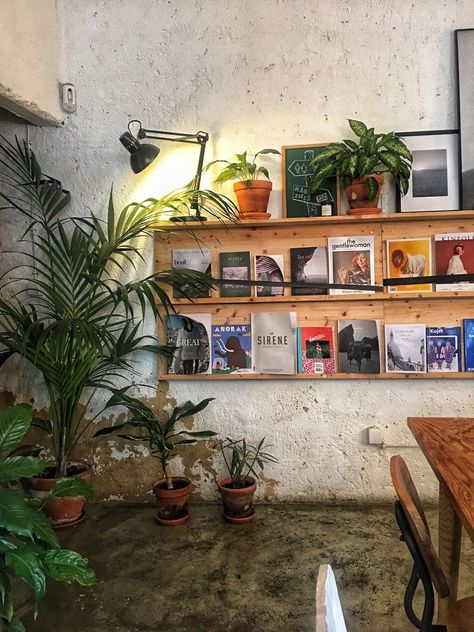 Plant Cafe Interiors Coffee Shop, Coffee Shop Apartment, Plants In Coffee Shop, Cafe Inspo Coffee Shop, Coffee Plant Shop, Plant Cafe Interior, Plant And Coffee Shop, Coffee And Plant Shop, Cafe Plants Interiors