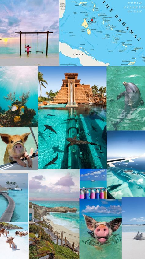 Things To Bring To The Bahamas, Bahamas Must Do, Bahamas Aesthetic Wallpaper, Bimini Bahamas Aesthetic, Nassau Bahamas Aesthetic, Bahamas Wallpaper, Countries Aesthetic, Bahamas Snorkeling, Harbor Island Bahamas