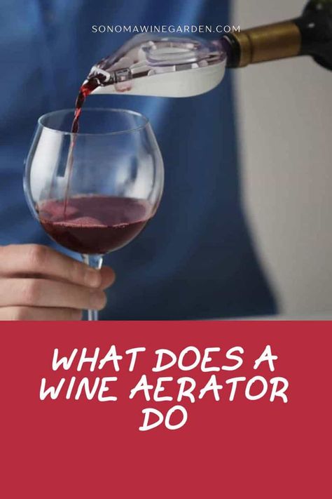 A wine aerator is a handy tool that can help enhance the flavors and aromas of your wine. https://sonomawinegarden.com/what-does-a-wine-aerator-do/ Wine Aerators, Wine Aerator, Wine Expert, Wine Pourer, Serving Wine, Drinking Wine, Types Of Wine, Sparkling Wine, Bottle Stoppers