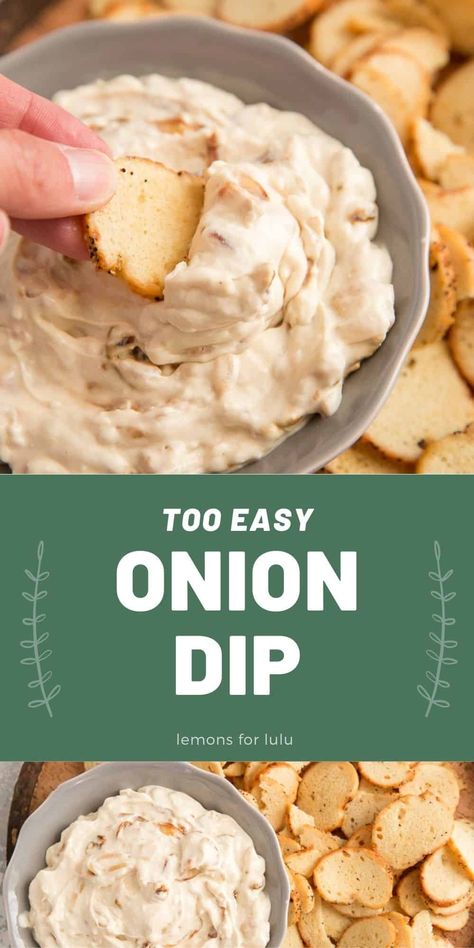 Easy Onion Dip, Onion Dip Recipe Easy, Onion Dips, Incredible Appetizers, Homemade Onion Dip, French Onion Dip Recipe, Homemade French Onion Dip, Chip Dip Recipes, Onion Dip Recipe