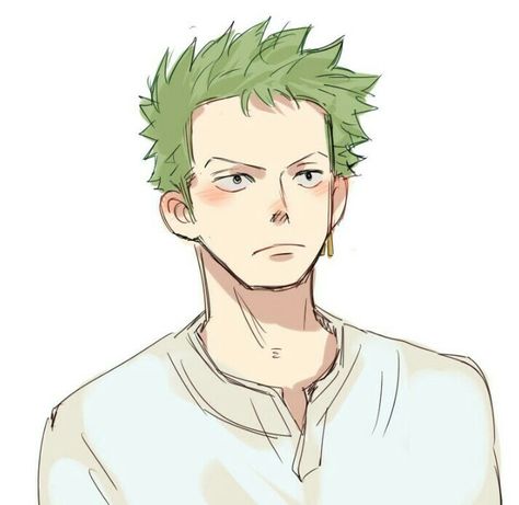 Zoro Hairstyle, Gacha Club Oc, Zoro Roronoa, One Piece Series, The Pirate King, Club Hairstyles, Zoro One Piece, One Piece Drawing, One Piece Pictures