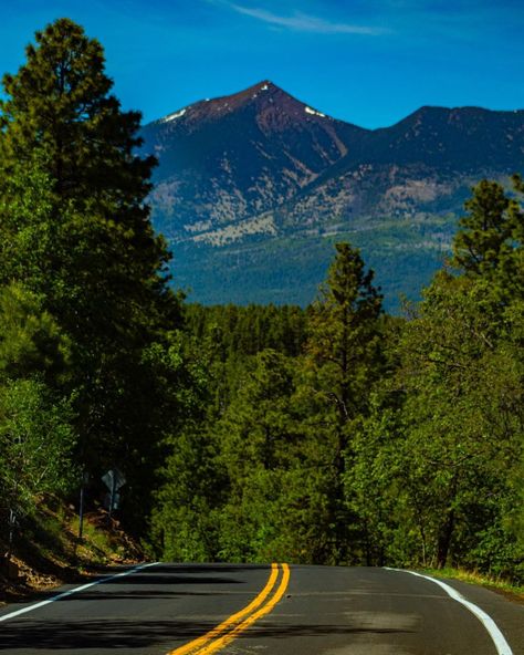 Eulisess coronado’s Instagram post: “Flagstaff #arizona #flagstaff” Flagstaff Aesthetic, Arizona Aesthetic, Arizona Mountains, Flagstaff Arizona, Desert Living, Flagstaff Az, Lovely Places, California Dreamin', Flagstaff