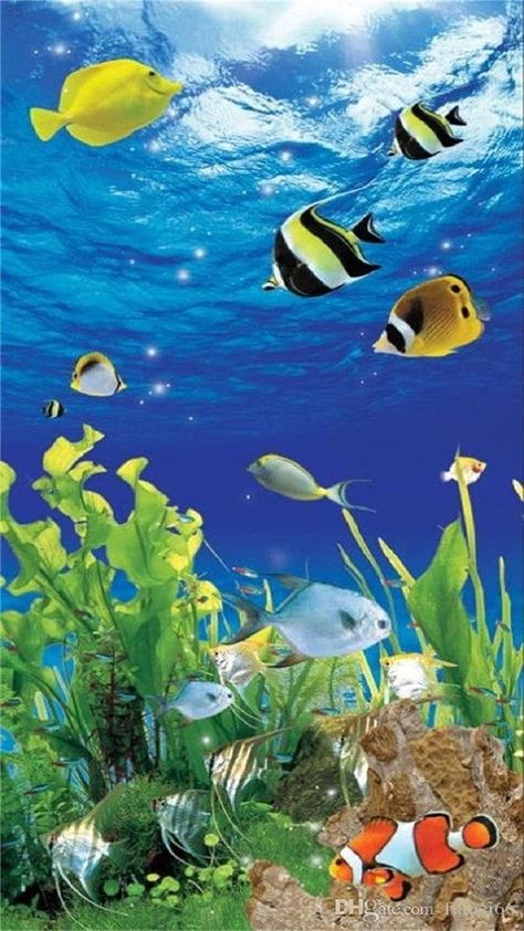 Sea Life Wallpaper, Hawaii Painting, Tropical Fish Aquarium, Beach Art Painting, 3d Room, Sea Turtle Art, Beautiful Ocean Pictures, Mosaic Art Projects, Beautiful Nature Wallpaper Hd