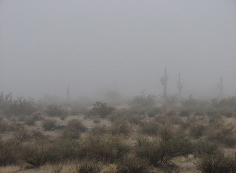 Creepy Desert, Desert Grunge, Color Theme, Color Themes, Ghost, Google Search, Collage, Green, Pins