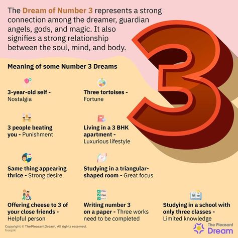 Have you heard that all good comes in three? And maybe you have had a dream about number 3 recently. Like, a dream in which something is prominently 3 in number. #dreamofnumber3 #dreamofnumber3meaning #meaningofnumber3dreams #dreamofnumber3meaning #number3 #dreammeaning #dreaming #dreamsymbolism #thepleasantdream #dreaming #dreams #animalindream Change In Life, Number Three, Dream Symbols, Dream Meanings, Sensitive People, Dream Interpretation, Writing Numbers, Three Words, Strong Relationship