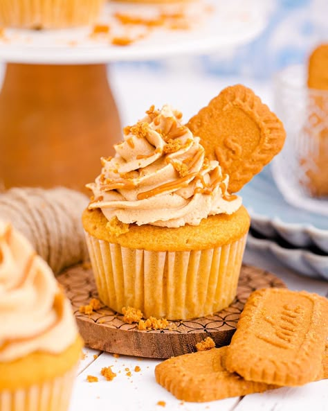 Cookie Butter Cupcakes Recipe, Biscoff Cupcakes Recipe, Butter Cake Mix Recipes, Cake Box Cupcakes, Biscoff Cheesecake Cupcakes, Biscotti Cupcakes, Biscoff Cupcakes Box Cake, Biscoff Cookie Butter Cake, Biscoff Cookie Butter Cupcakes