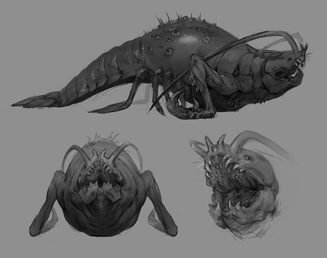 Anna Podedworna, Beast Creature, Artist Working, Creature Artwork, Cool Monsters, Alien Concept, Alien Concept Art, Monster Concept Art, Creature Drawings