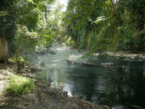 Rivers Aesthetic, River In Forest, River In The Forest, Amazon Aesthetic, River Aesthetic, Beautiful River, Jungle Scene, River Forest, The Amazon Rainforest